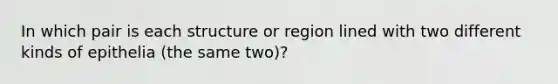 In which pair is each structure or region lined with two different kinds of epithelia (the same two)?