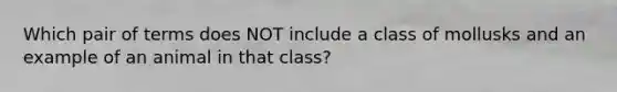 Which pair of terms does NOT include a class of mollusks and an example of an animal in that class?