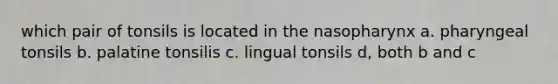 which pair of tonsils is located in the nasopharynx a. pharyngeal tonsils b. palatine tonsilis c. lingual tonsils d, both b and c