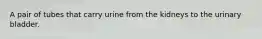 A pair of tubes that carry urine from the kidneys to the urinary bladder.