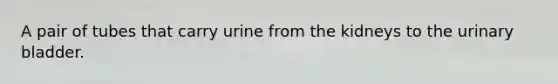 A pair of tubes that carry urine from the kidneys to the urinary bladder.