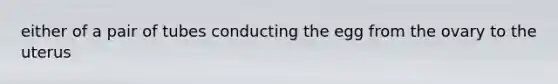 either of a pair of tubes conducting the egg from the ovary to the uterus