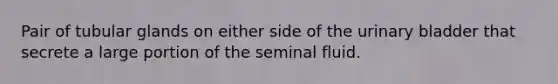 Pair of tubular glands on either side of the urinary bladder that secrete a large portion of the seminal fluid.