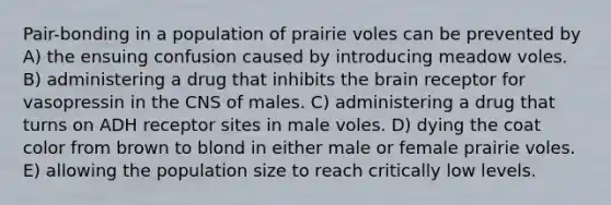 Pair-bonding in a population of prairie voles can be prevented by A) the ensuing confusion caused by introducing meadow voles. B) administering a drug that inhibits the brain receptor for vasopressin in the CNS of males. C) administering a drug that turns on ADH receptor sites in male voles. D) dying the coat color from brown to blond in either male or female prairie voles. E) allowing the population size to reach critically low levels.