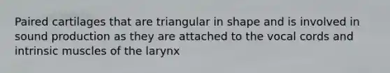 Paired cartilages that are triangular in shape and is involved in sound production as they are attached to the vocal cords and intrinsic muscles of the larynx