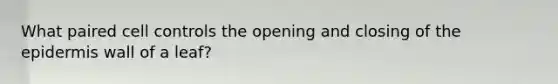 What paired cell controls the opening and closing of the epidermis wall of a leaf?