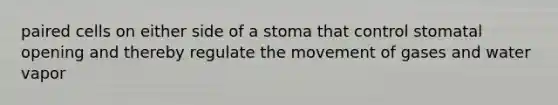 paired cells on either side of a stoma that control stomatal opening and thereby regulate the movement of gases and water vapor