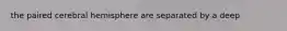 the paired cerebral hemisphere are separated by a deep