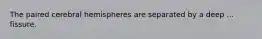 The paired cerebral hemispheres are separated by a deep ... fissure.