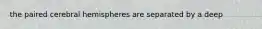 the paired cerebral hemispheres are separated by a deep