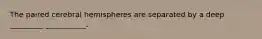 The paired cerebral hemispheres are separated by a deep _________ ___________.