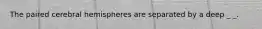 The paired cerebral hemispheres are separated by a deep _ _.