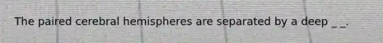 The paired cerebral hemispheres are separated by a deep _ _.