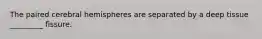 The paired cerebral hemispheres are separated by a deep tissue _________ fissure.