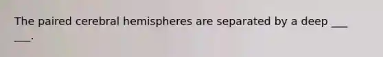 The paired cerebral hemispheres are separated by a deep ___ ___.