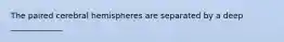 The paired cerebral hemispheres are separated by a deep _____________