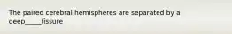 The paired cerebral hemispheres are separated by a deep_____fissure