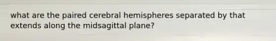 what are the paired cerebral hemispheres separated by that extends along the midsagittal plane?