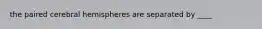 the paired cerebral hemispheres are separated by ____