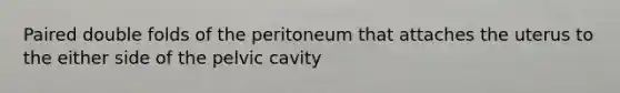 Paired double folds of the peritoneum that attaches the uterus to the either side of the pelvic cavity