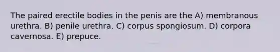 The paired erectile bodies in the penis are the A) membranous urethra. B) penile urethra. C) corpus spongiosum. D) corpora cavernosa. E) prepuce.