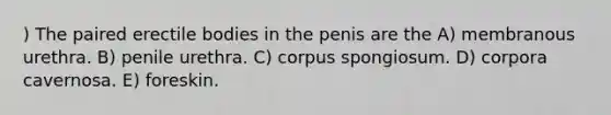 ) The paired erectile bodies in the penis are the A) membranous urethra. B) penile urethra. C) corpus spongiosum. D) corpora cavernosa. E) foreskin.