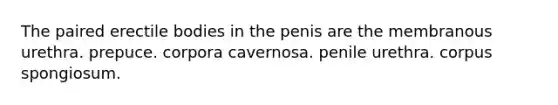 The paired erectile bodies in the penis are the membranous urethra. prepuce. corpora cavernosa. penile urethra. corpus spongiosum.