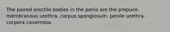 The paired erectile bodies in the penis are the prepuce. membranous urethra. corpus spongiosum. penile urethra. corpora cavernosa.