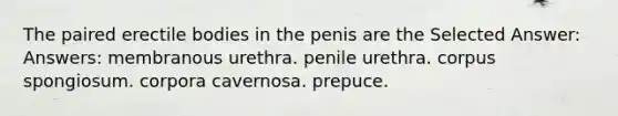 The paired erectile bodies in the penis are the Selected Answer: Answers: membranous urethra. penile urethra. corpus spongiosum. corpora cavernosa. prepuce.