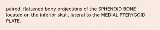 paired, flattened bony projections of the SPHENOID BONE located on the inferior skull, lateral to the MEDIAL PTERYGOID PLATE.