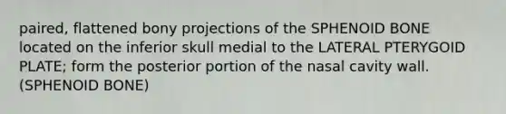paired, flattened bony projections of the SPHENOID BONE located on the inferior skull medial to the LATERAL PTERYGOID PLATE; form the posterior portion of the nasal cavity wall. (SPHENOID BONE)