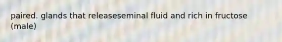 paired. glands that releaseseminal fluid and rich in fructose (male)