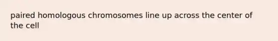 paired homologous chromosomes line up across the center of the cell