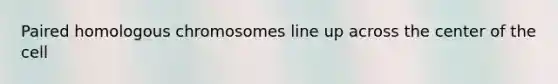 Paired homologous chromosomes line up across the center of the cell