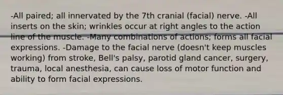 -All paired; all innervated by the 7th cranial (facial) nerve. -All inserts on the skin; wrinkles occur at right angles to the action line of the muscle. -Many combinations of actions; forms all facial expressions. -Damage to the facial nerve (doesn't keep muscles working) from stroke, Bell's palsy, parotid gland cancer, surgery, trauma, local anesthesia, can cause loss of motor function and ability to form facial expressions.