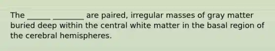 The ______ ________ are paired, irregular masses of gray matter buried deep within the central white matter in the basal region of the cerebral hemispheres.