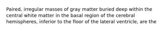 Paired, irregular masses of gray matter buried deep within the central white matter in the basal region of the cerebral hemispheres, inferior to the floor of the lateral ventricle, are the