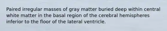 Paired irregular masses of gray matter buried deep within central white matter in the basal region of the cerebral hemispheres inferior to the floor of the lateral ventricle.