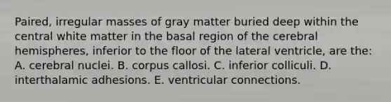 Paired, irregular masses of gray matter buried deep within the central white matter in the basal region of the cerebral hemispheres, inferior to the floor of the lateral ventricle, are the: A. cerebral nuclei. B. corpus callosi. C. inferior colliculi. D. interthalamic adhesions. E. ventricular connections.