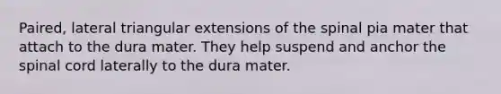 Paired, lateral triangular extensions of the spinal pia mater that attach to the dura mater. They help suspend and anchor the spinal cord laterally to the dura mater.