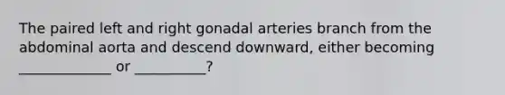 The paired left and right gonadal arteries branch from the abdominal aorta and descend downward, either becoming _____________ or __________?