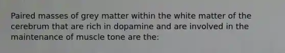 Paired masses of grey matter within the white matter of the cerebrum that are rich in dopamine and are involved in the maintenance of muscle tone are the: