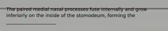 The paired medial nasal processes fuse internally and grow inferiorly on the inside of the stomodeum, forming the _____________________