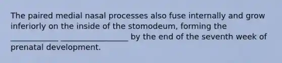 The paired medial nasal processes also fuse internally and grow inferiorly on the inside of the stomodeum, forming the ____________ _________________ by the end of the seventh week of prenatal development.