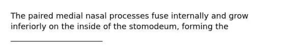 The paired medial nasal processes fuse internally and grow inferiorly on the inside of the stomodeum, forming the _______________________