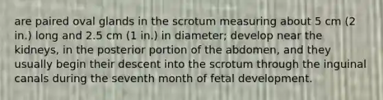 are paired oval glands in the scrotum measuring about 5 cm (2 in.) long and 2.5 cm (1 in.) in diameter; develop near the kidneys, in the posterior portion of the abdomen, and they usually begin their descent into the scrotum through the inguinal canals during the seventh month of <a href='https://www.questionai.com/knowledge/kmyRuaFuMz-fetal-development' class='anchor-knowledge'>fetal development</a>.