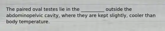 The paired oval testes lie in the __________ outside the abdominopelvic cavity, where they are kept slightly, cooler than body temperature.