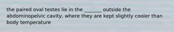 the paired oval testes lie in the _______ outside the abdominopelvic cavity, where they are kept slightly cooler than body temperature