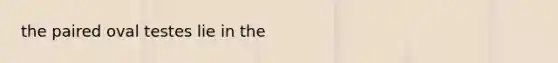 the paired oval testes lie in the