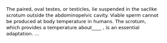 The paired, oval testes, or testicles, lie suspended in the saclike scrotum outside the abdominopelvic cavity. Viable sperm cannot be produced at body temperature in humans. The scrotum, which provides a temperature about____ , is an essential adaptation. ...